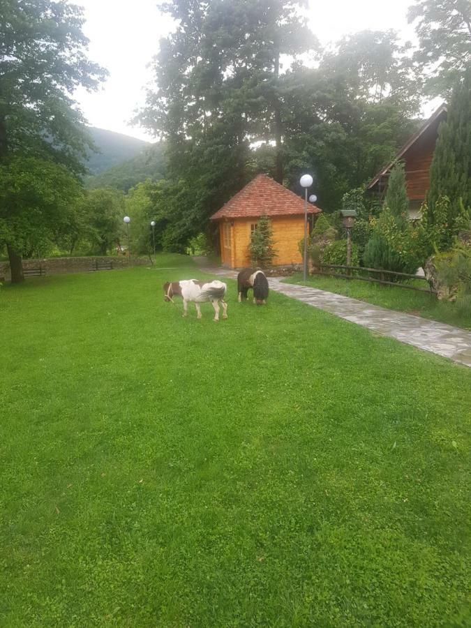 Vodopad Lisine Bed and Breakfast Strmosten Buitenkant foto